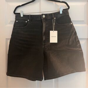 Everlane Long A-Line Denim Shorts